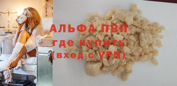 СК Медвежьегорск