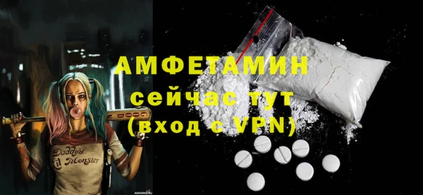 гашик Мегион