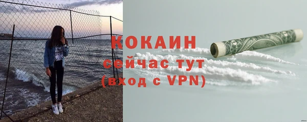 гашик Мегион