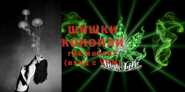 гашик Мегион