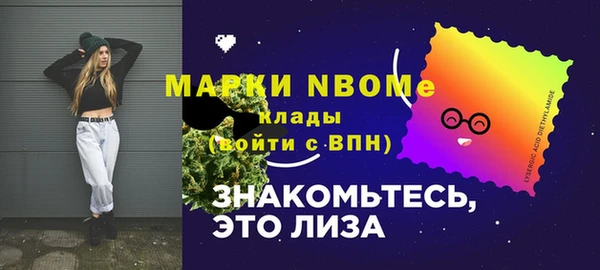 СК Медвежьегорск