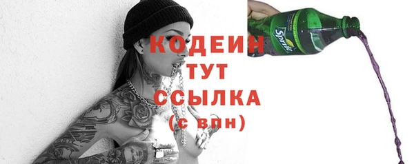 гашик Мегион