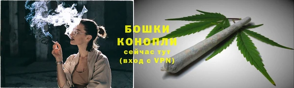 гашик Мегион