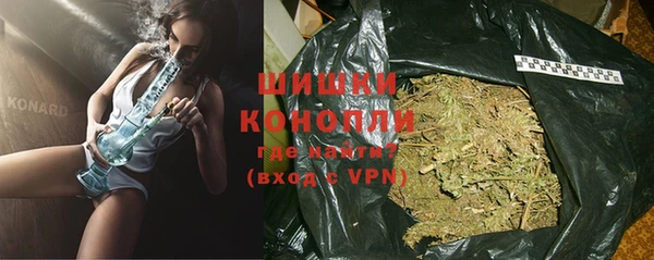 гашик Мегион